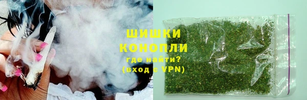 ПСИЛОЦИБИНОВЫЕ ГРИБЫ Богданович