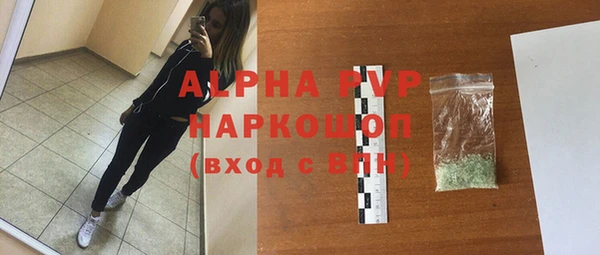 ПСИЛОЦИБИНОВЫЕ ГРИБЫ Богданович