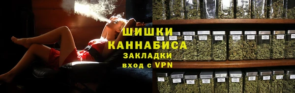 ПСИЛОЦИБИНОВЫЕ ГРИБЫ Богданович
