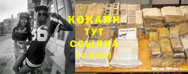ПСИЛОЦИБИНОВЫЕ ГРИБЫ Богданович