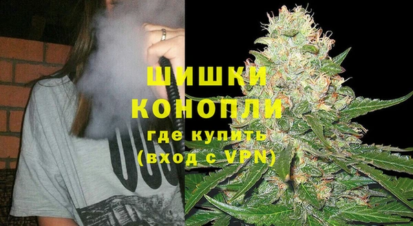 ПСИЛОЦИБИНОВЫЕ ГРИБЫ Богданович