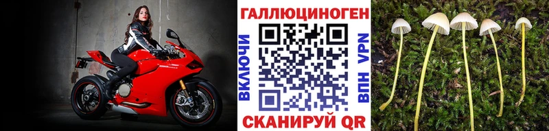 omg маркетплейс Горнозаводск это какой сайт Псилоцибиновые грибы ЛСД